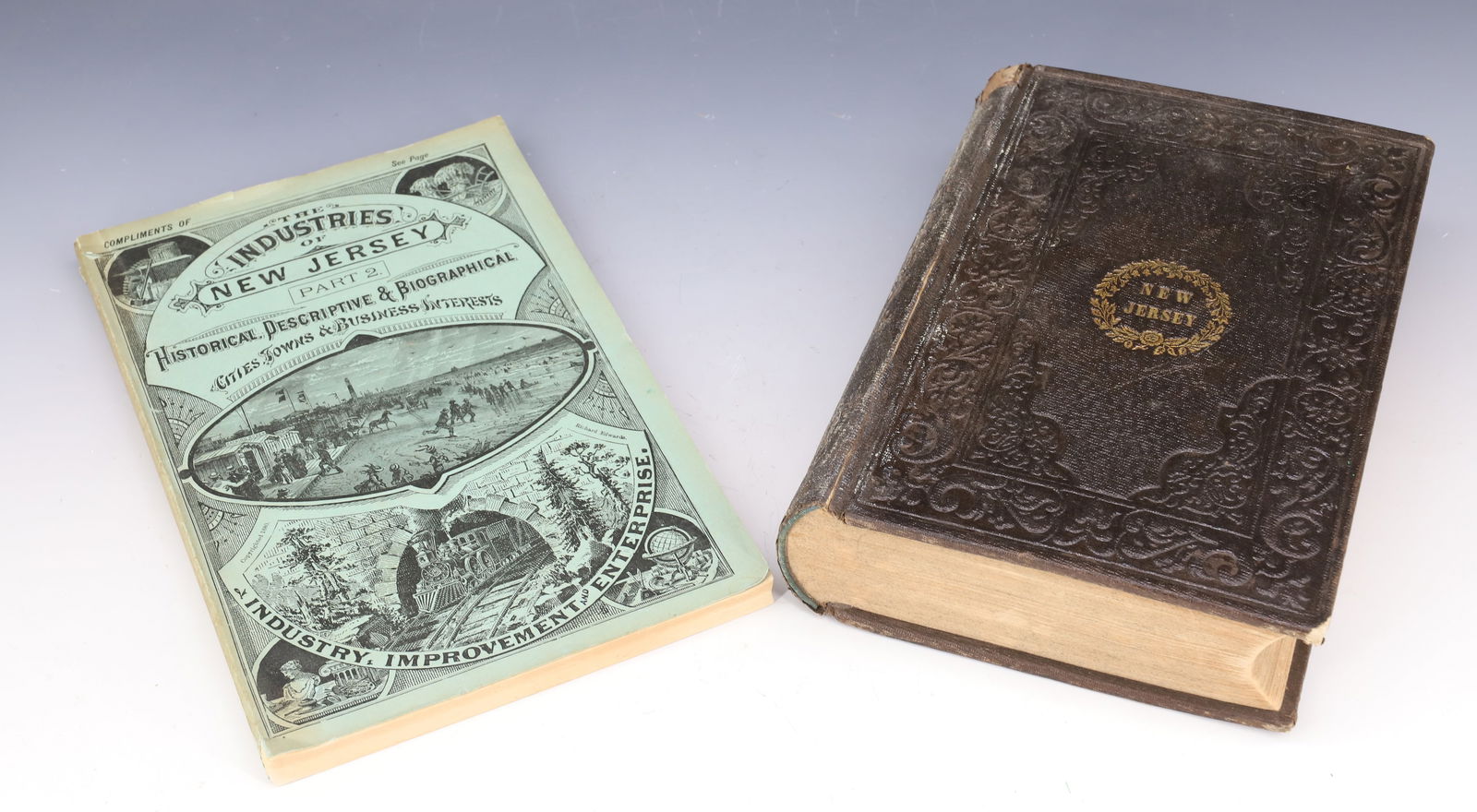 (2) NEW JERSEY BOOKS 19TH C. (1 of 8)