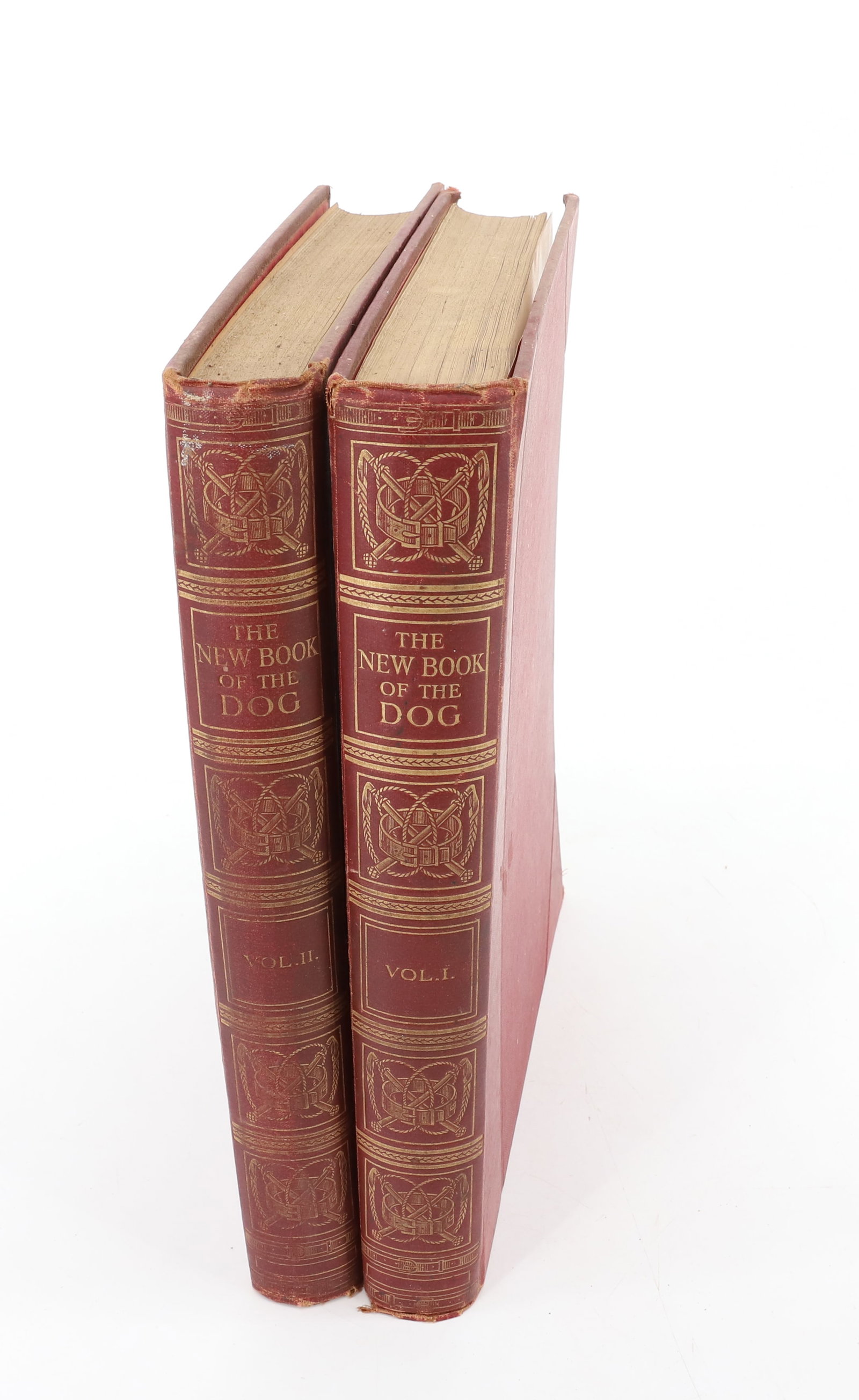 THE NEW BOOK OF THE DOG VOL. I AND II: VOLUME I AND II SPECIAL EDITION BY ROBERT LEIGHTON (CASSELL AND COMPANY) 1911 PLEASE READ CAREFULLY - Terms for Purchasing and Shipping of Auction Items. Please read carefully before bidding. Hartzell