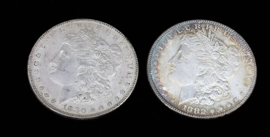 (2) MORGAN DOLLARS