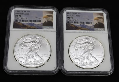 (2) 2015 AMERICAN EAGLES