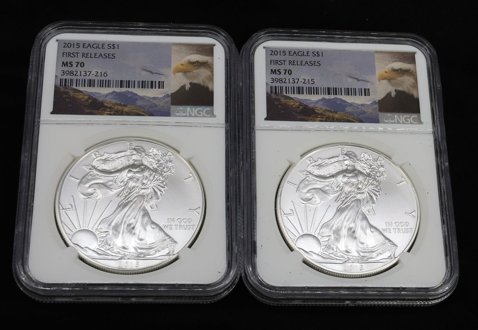 (2) 2015 AMERICAN EAGLES (1 of 5)