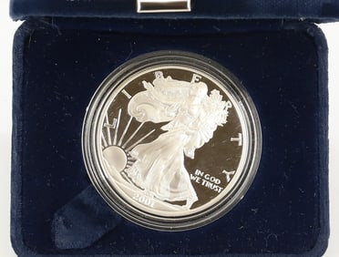 2001 AMERICAN EAGLE SILVER PROOF DOLLAR