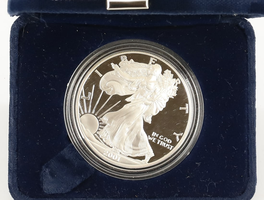 2001 AMERICAN EAGLE SILVER PROOF DOLLAR (1 of 2)