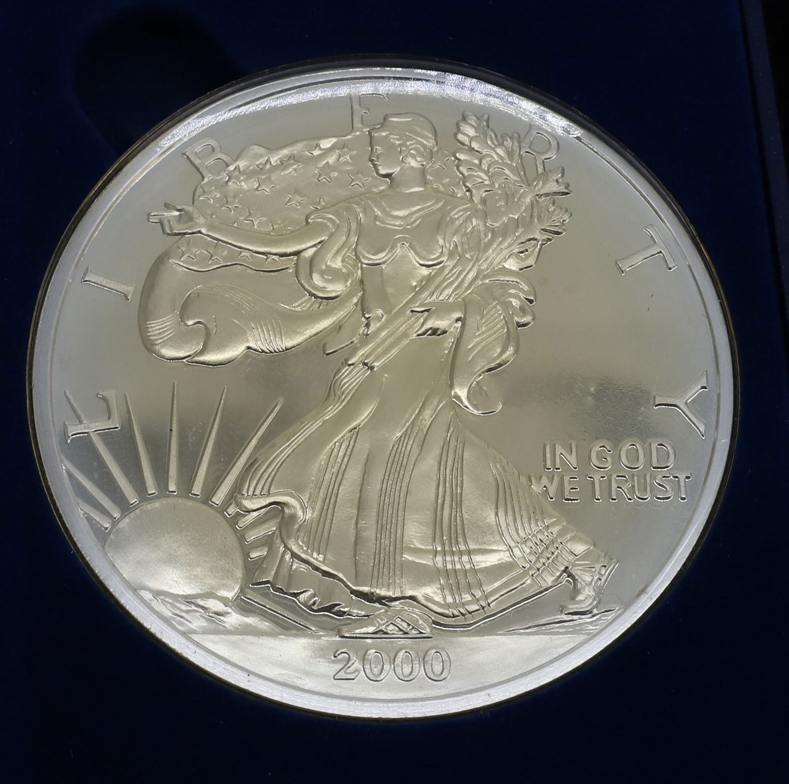 ONE TROY POUND SILVER EAGLE (1 of 1)