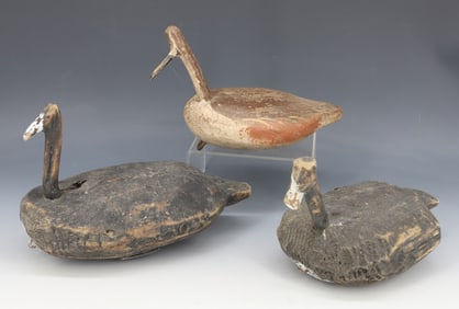 (3) FOLK ART COOT DECOYS, DUCK