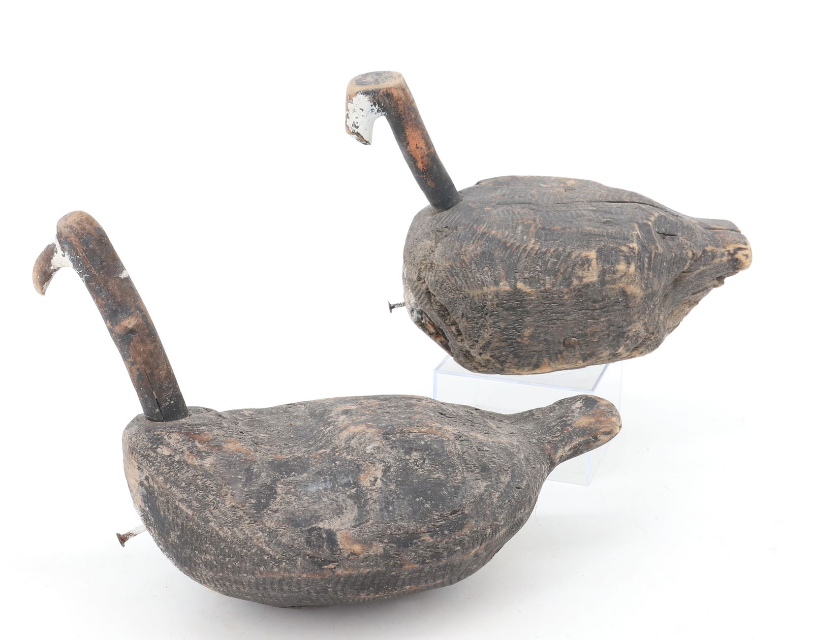 (2) FOLK ART COOT DECOYS, DUCK (1 of 4)