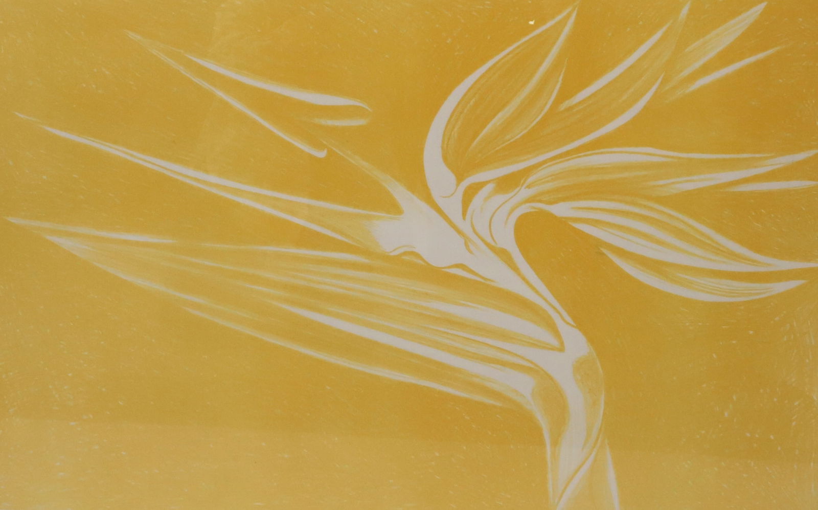 LOWELL NESBITT SGND. LITHOGRAPH: "BIRD OF PARADISE. SGND/DATED LOWER RIGHT "1980". 38/40. MATTED AND FRAMED. SIGHT VIEW 22" X 33 1/2". PLEASE READ CAREFULLY - SINCE THIS IS A COIN SALE PLEASE NOTE. ITEMS MUST BE PAID FOR