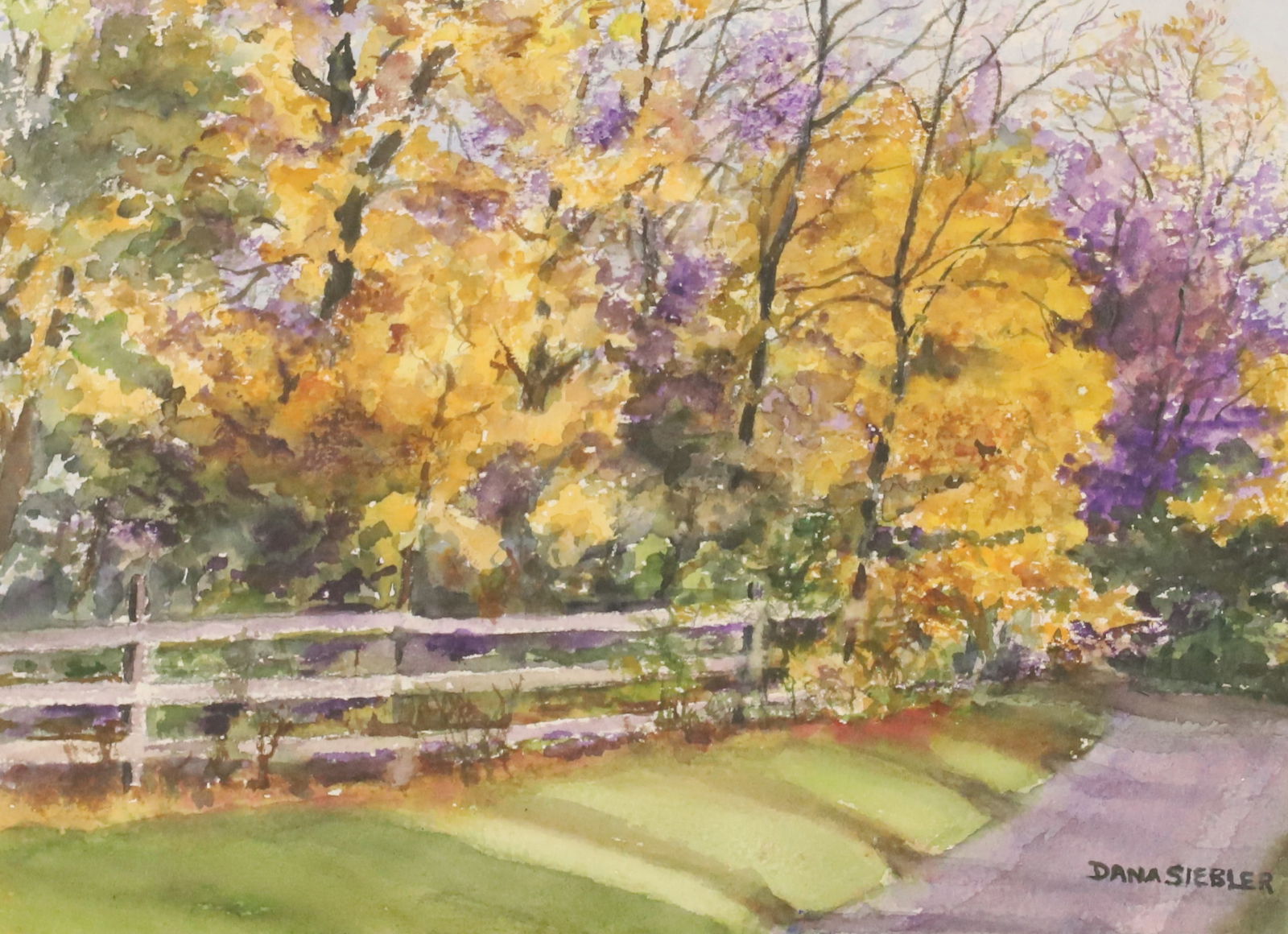 DANA SIEBLER, WATERCOLOR ON PAPER (1 of 6)