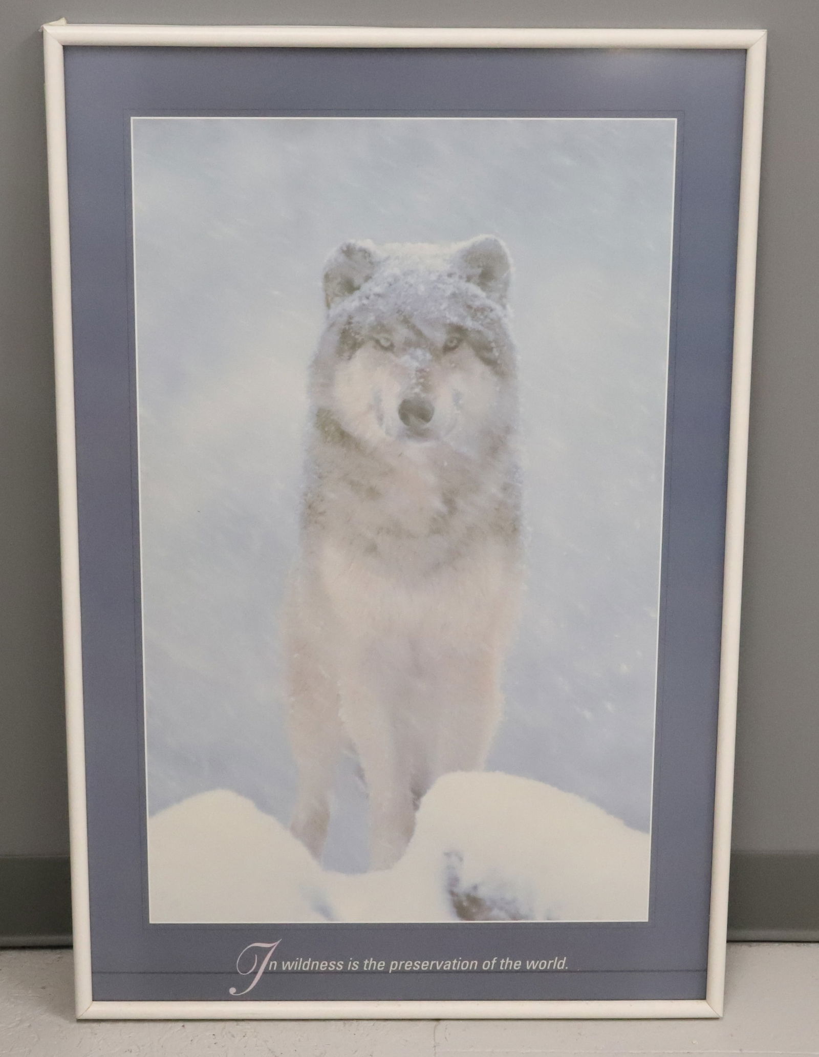 (2) FRAMED WOLF PRINTS - 3