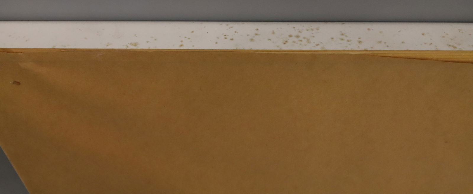 (2) FRAMED WOLF PRINTS - 5