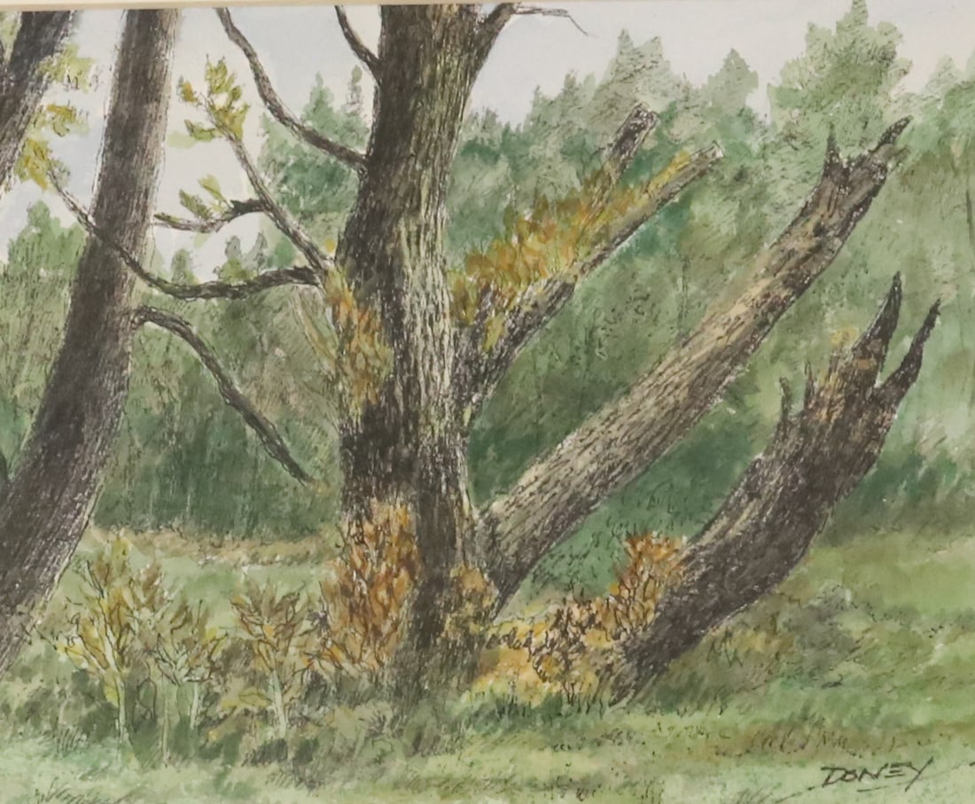 ROBERT DONEY, WATERCOLOR / PEN / INK (1 of 6)