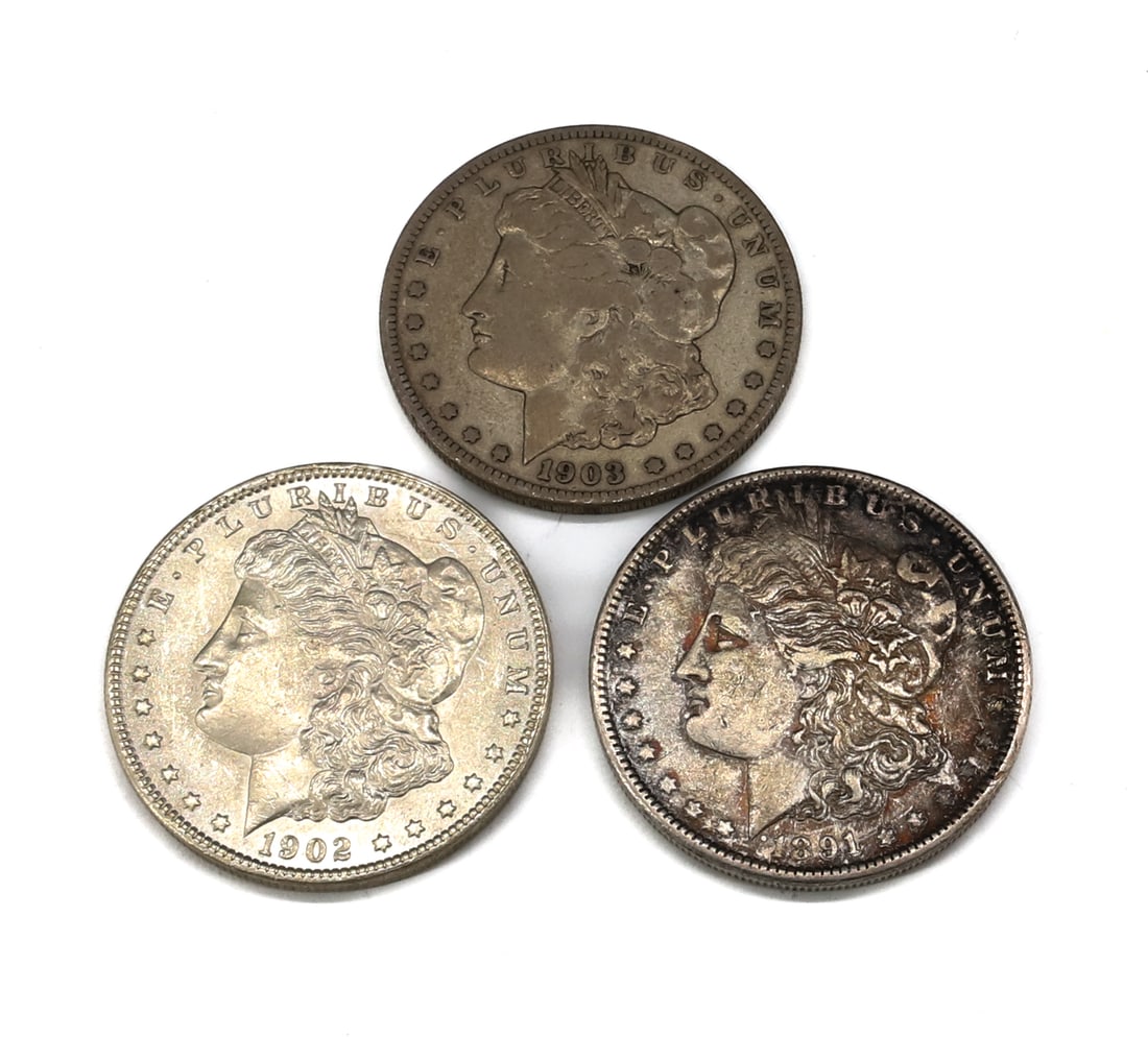 (3) MORGAN DOLLARS (1 of 2)