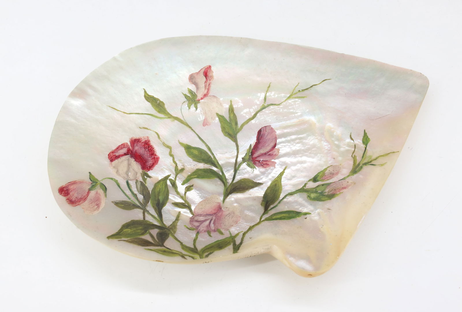 CARVED AND PAINTED SHELLS - 4