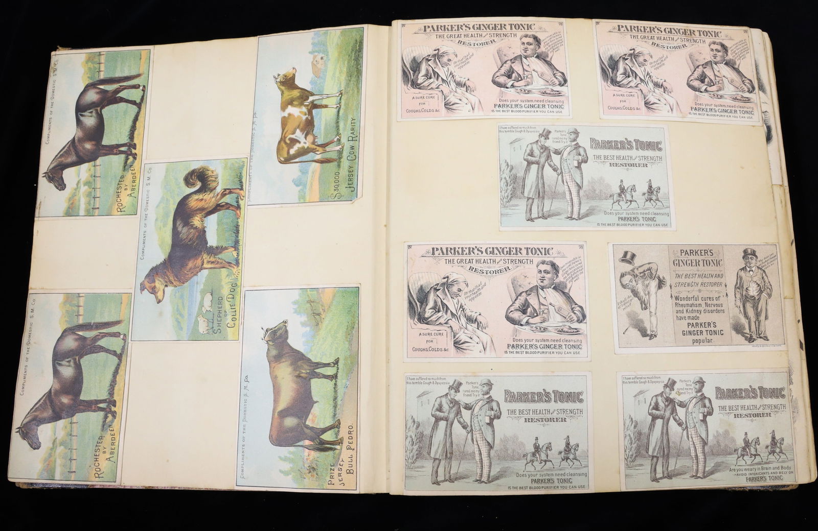LARGE VICTORIAN TRADE CARD ALBUM (1 of 20)