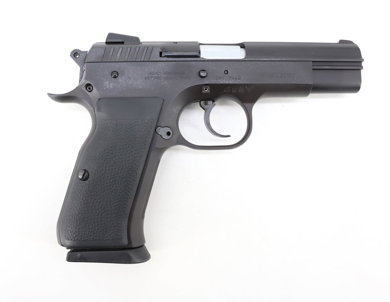 TANFOGLIO EAA WITNESS PISTOL (1 of 9)