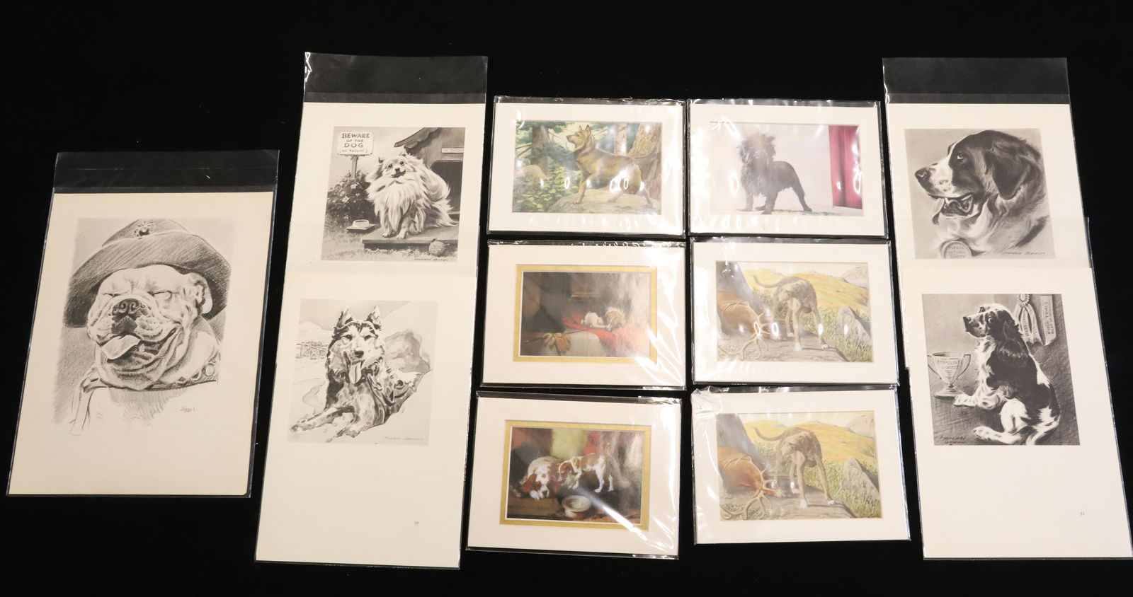 MORGAN DENNIS DOG PRINTS AND MORE: 10 VIEWS OF DOGS TAKEN FROM 1946 / 1947 BOOK. WITH, SIX PRINTS FROM NATIONAL GEOGRAPHIC MAGAZINE / BOOK OF DOGS. PLEASE READ CAREFULLY - TEMS MUST BE PAID FOR THROUGH LIVE AUCTIONEERS OR WITH