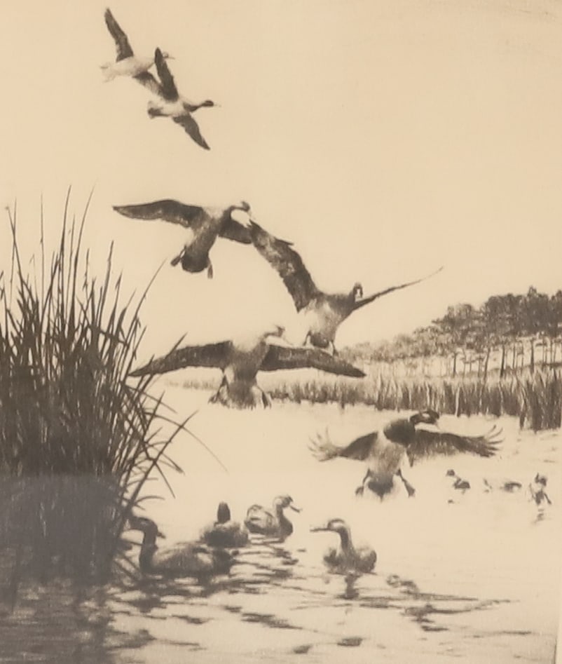 RICHARD E. BISHOP ETCHING, "SETTING' DOWN": PRINTED NAME / SIGNATURE / TITLE AT BOTTOM. SIGHT VIEW 8" X 6 1/4". FRAMED UNDER GLASS. 16 3/4" X 12 3/4". PLEASE READ CAREFULLY - ITEMS MUST BE PAID FOR THROUGH LIVE AUCTIONEERS OR WITH CASH