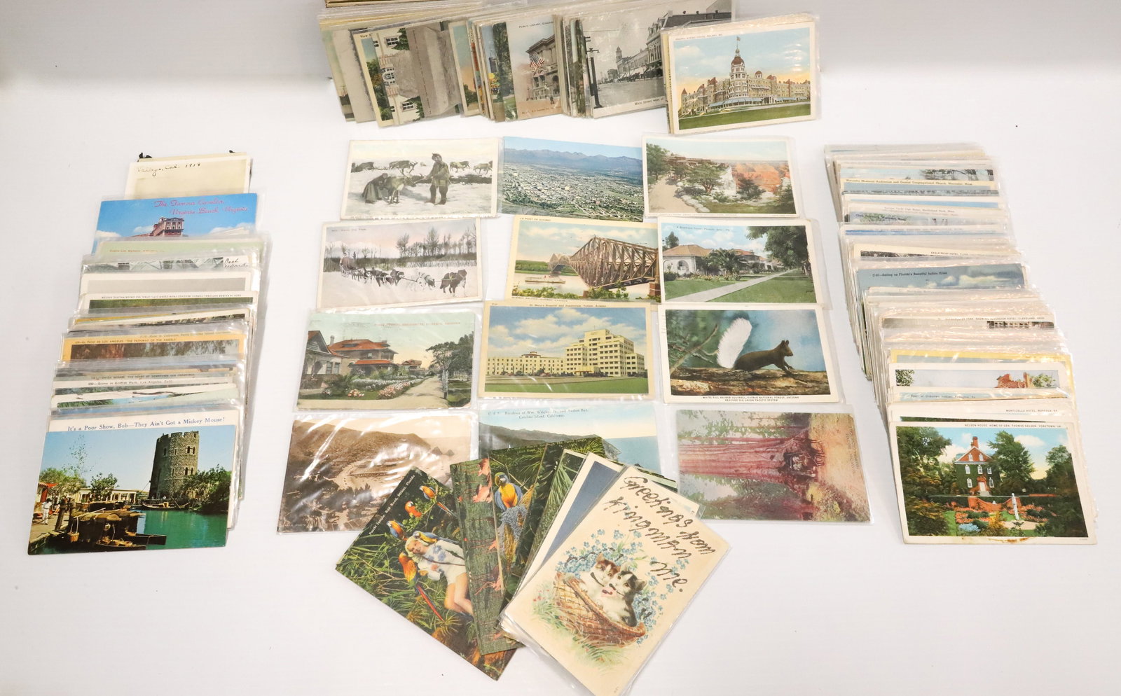 (250+) U.S. STATE SOUVENIR POSTCARDS (1 of 4)