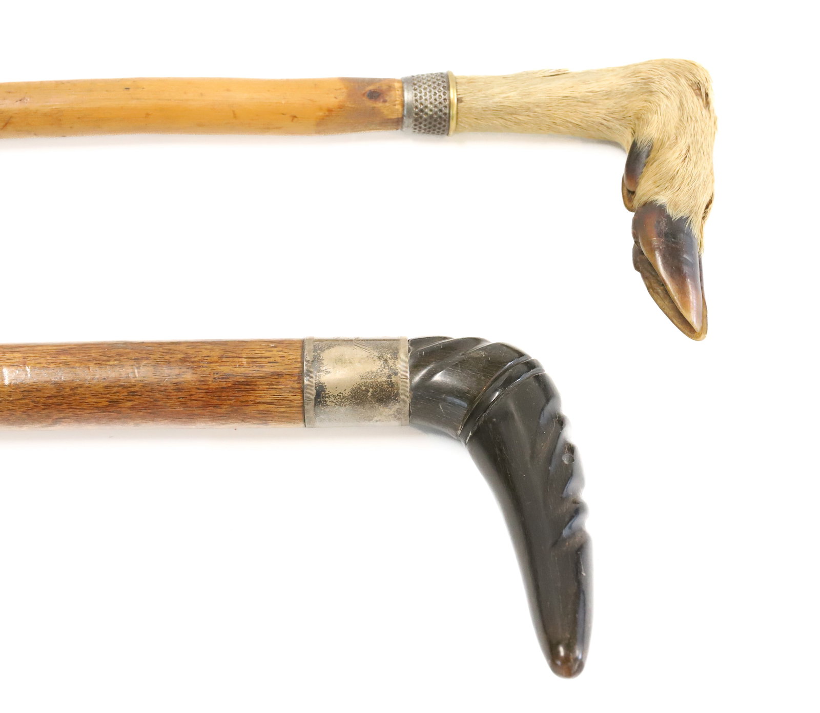 (2) HORN AND HOOF CANES (1 of 5)