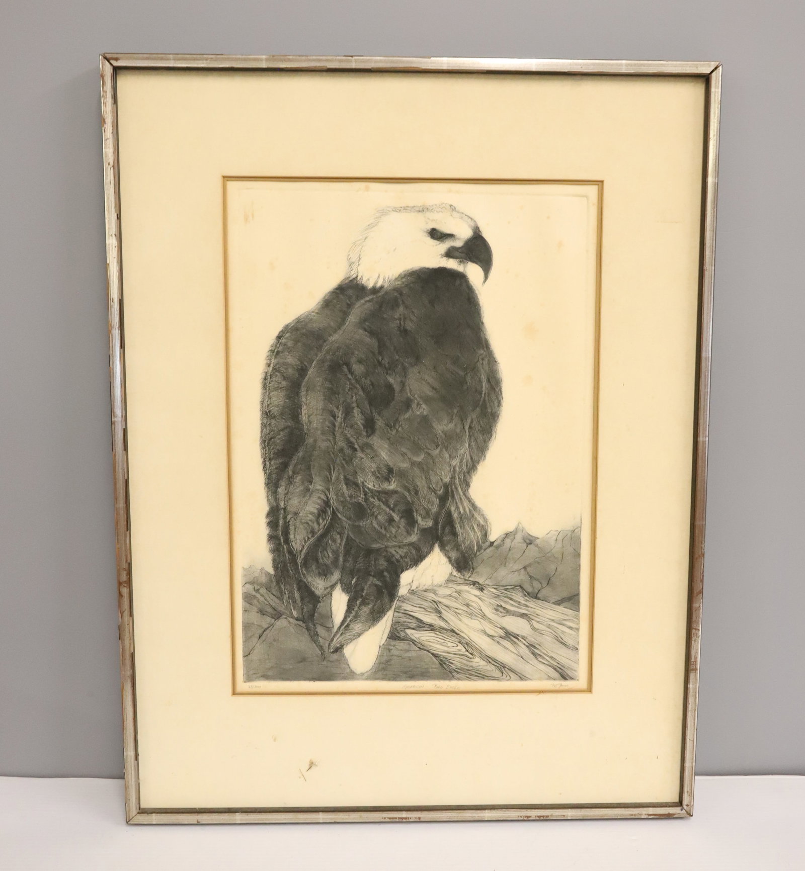 AMERICAN BALD EAGLE ETCHING - 2