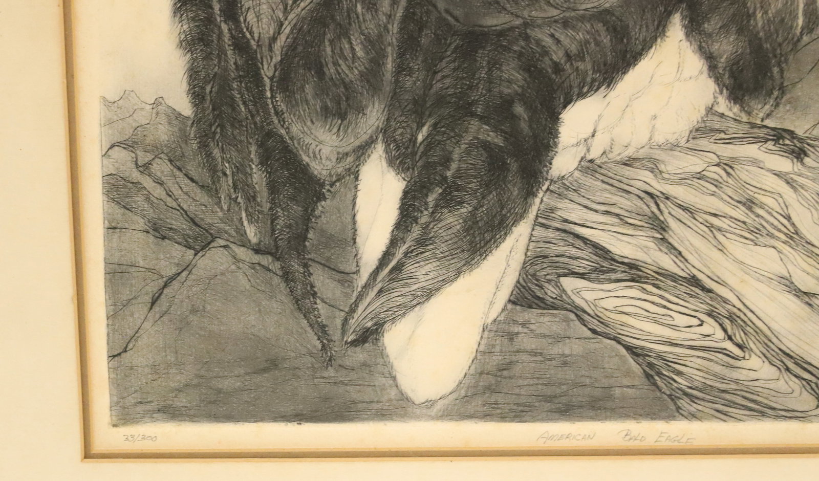 AMERICAN BALD EAGLE ETCHING - 3