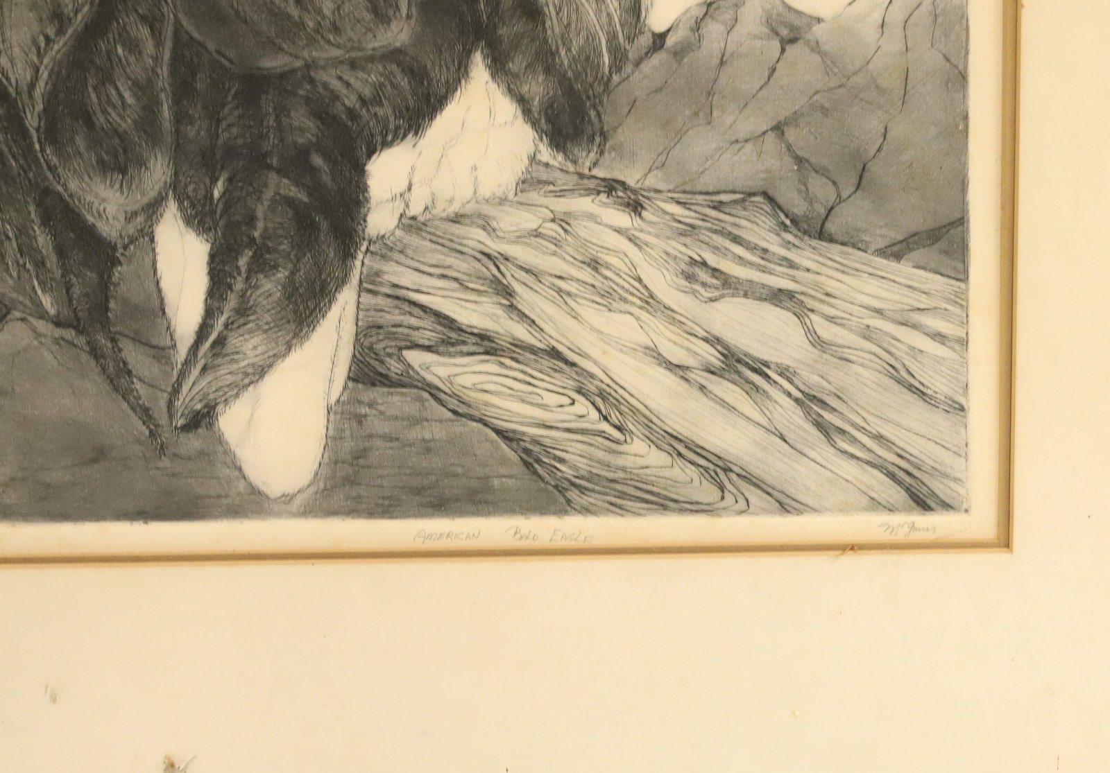 AMERICAN BALD EAGLE ETCHING - 4