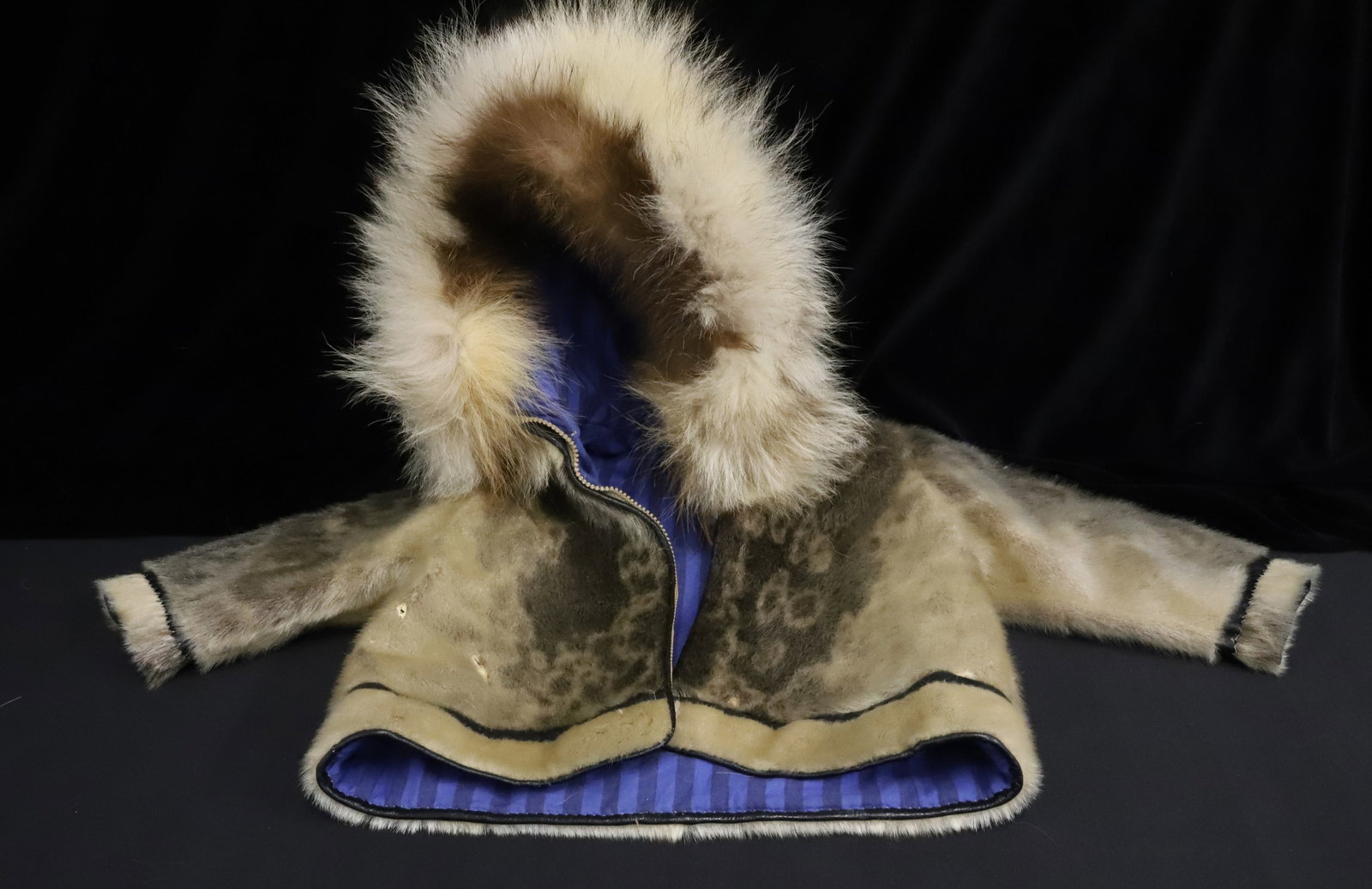 VINTAGE INUIT CHILD'S PARKA: ANIMAL SKIN BODY WITH STRIPED LINING. FUR TRIMMED HOOD. 15 1/2" L. 18" SLEEVE. PLEASE READ CAREFULLY - ITEMS MUST BE PAID FOR THROUGH LIVE AUCTIONEERS OR WITH CASH OR CHECK IN PERSON - Terms for Purch