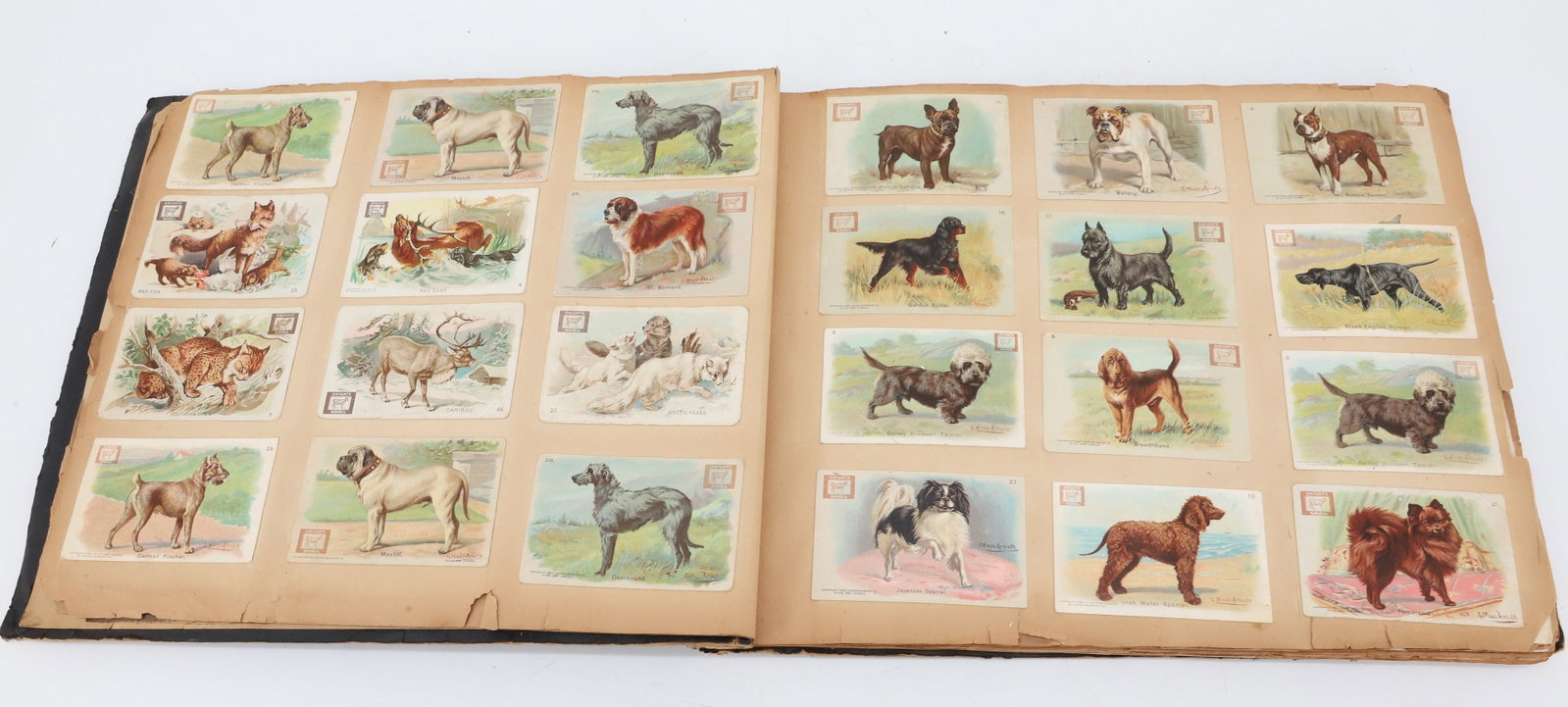 ANTIQUE SCRAPBOOK - 3
