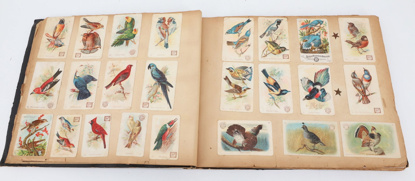 ANTIQUE SCRAPBOOK - 4