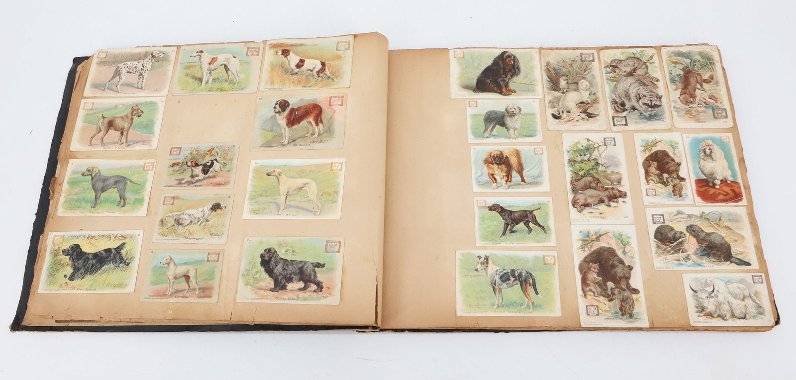 ANTIQUE SCRAPBOOK - 5