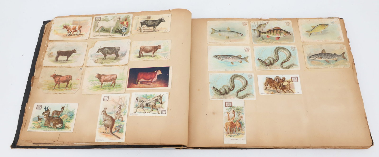 ANTIQUE SCRAPBOOK - 6