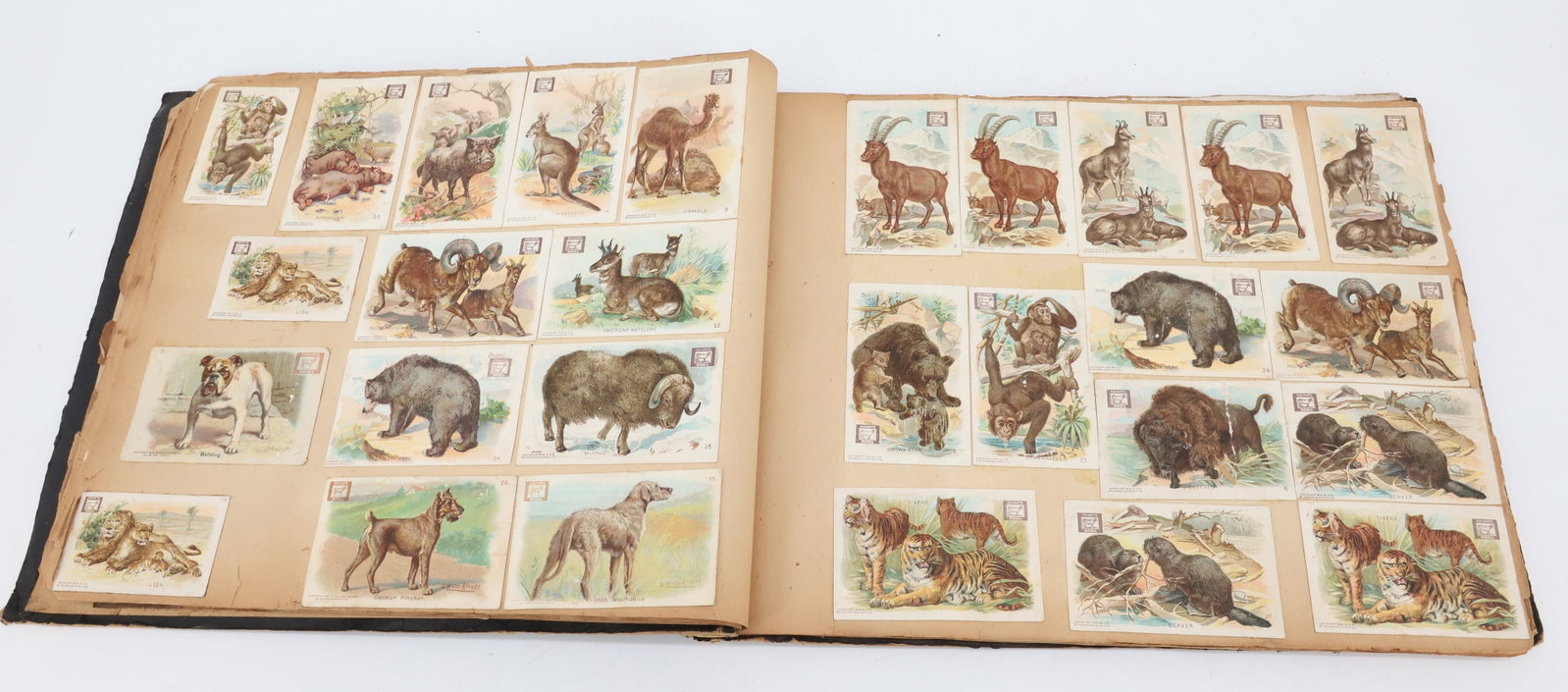 ANTIQUE SCRAPBOOK - 7
