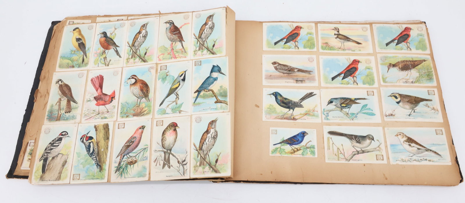 ANTIQUE SCRAPBOOK - 8