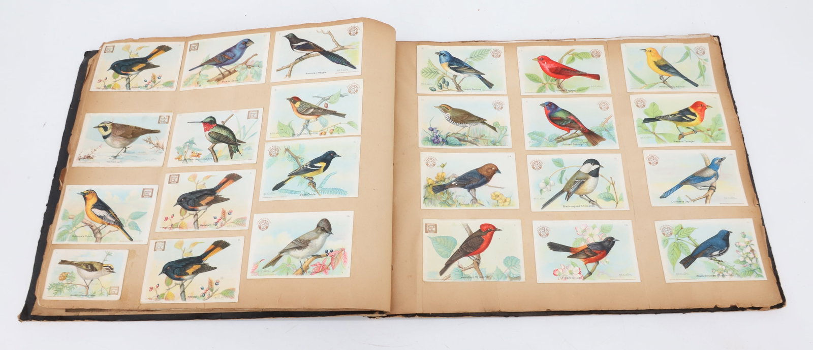 ANTIQUE SCRAPBOOK - 9