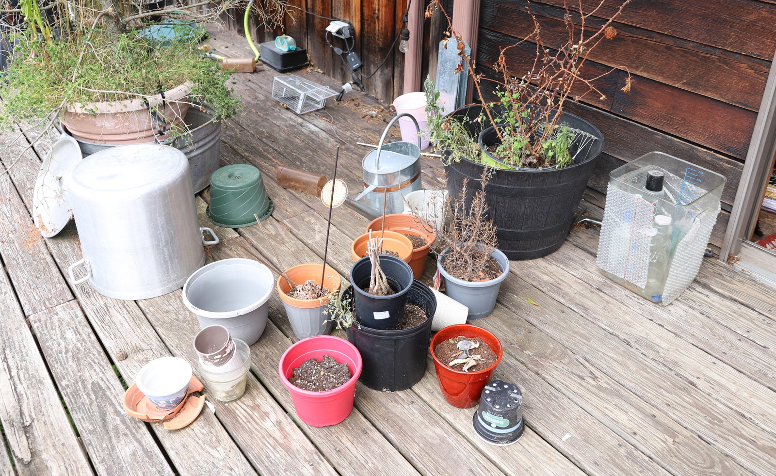 FLOWER POTS, BIRD BATH AND MORE ON THE DECK (1 of 8)