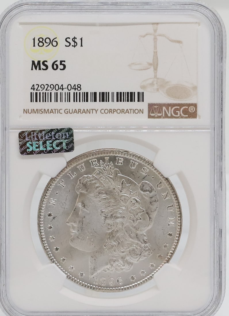 1896 MORGAN DOLLAR (1 of 4)
