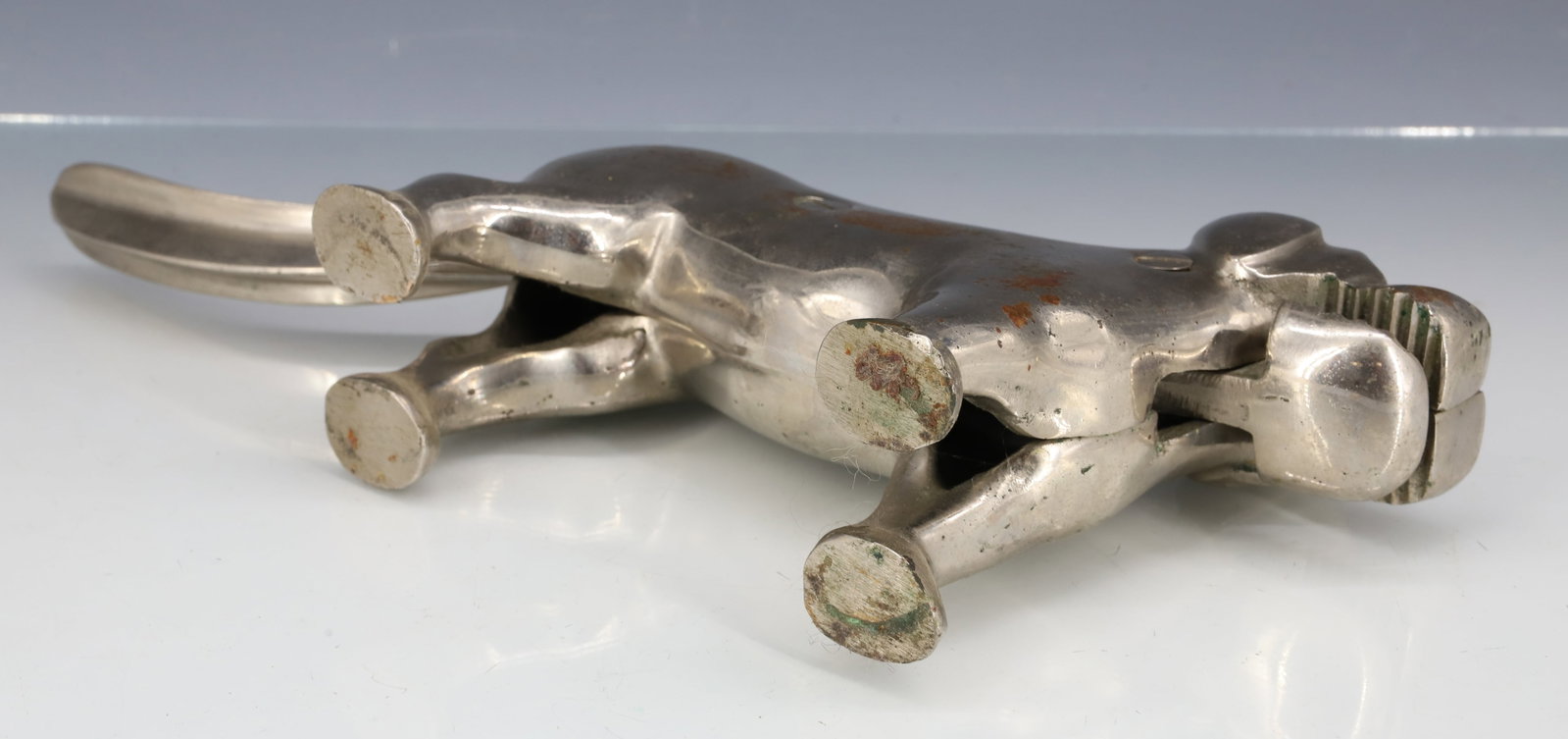 DOG NUTCRACKER IN NICKEL - 4