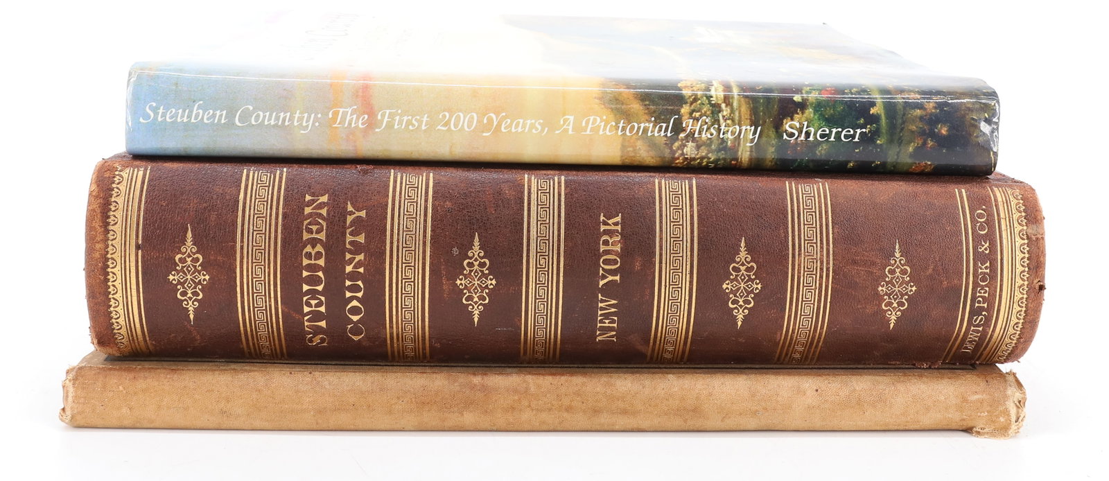 LOT OF STEUBEN COUNTY NY BOOKS (1 of 8)