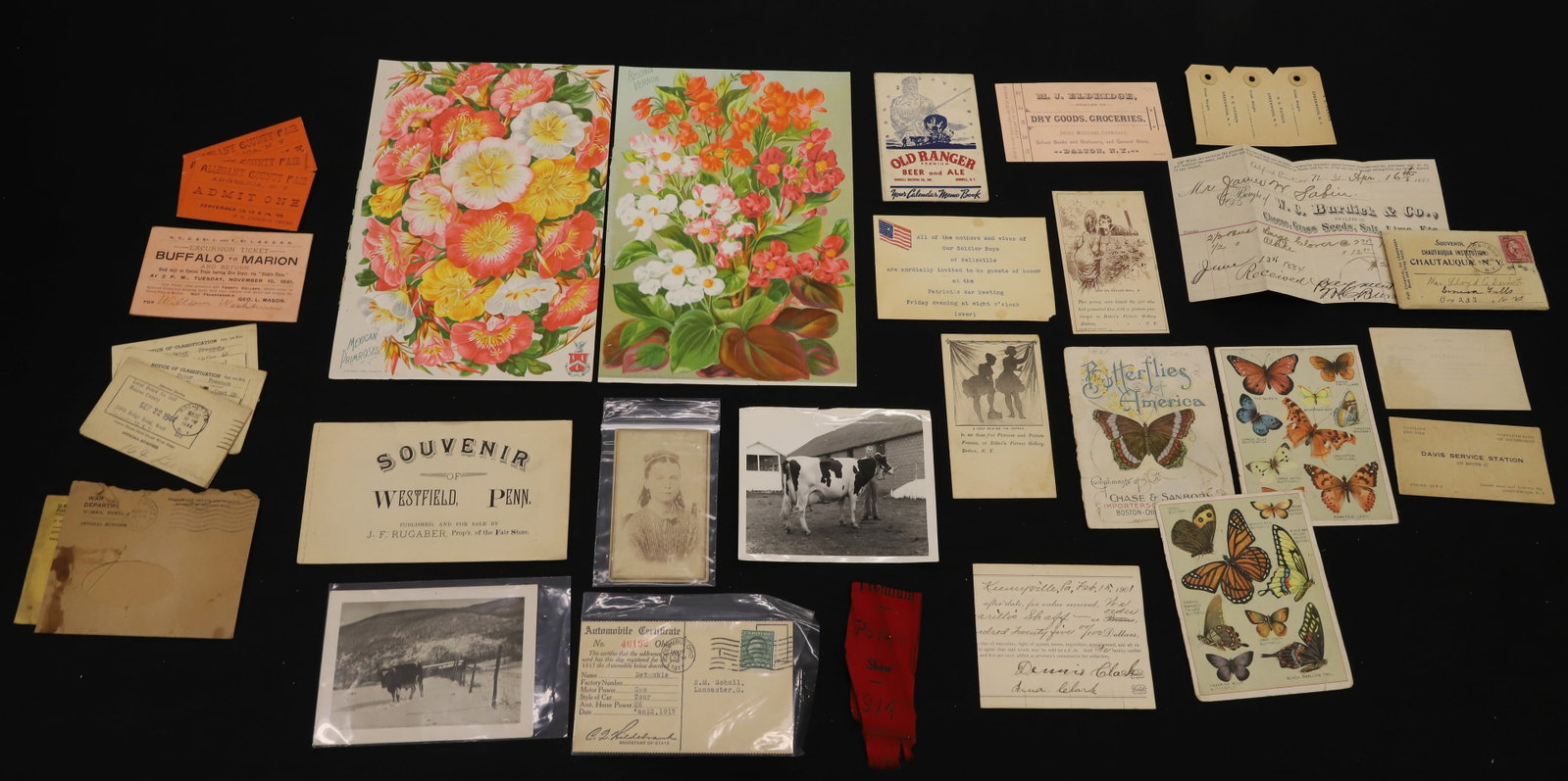 LOT OF NY/PA STATE RELATED PAPER GOODS (1 of 8)