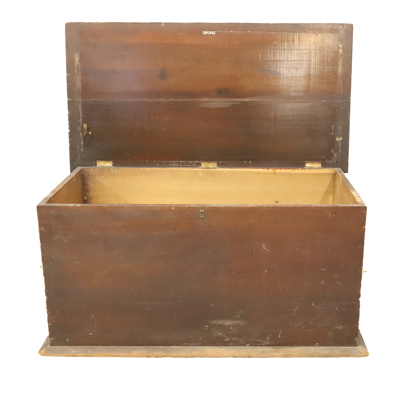 19TH C. PAINTED BLANKET CHEST (1 of 6)