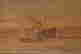item-47170767=3