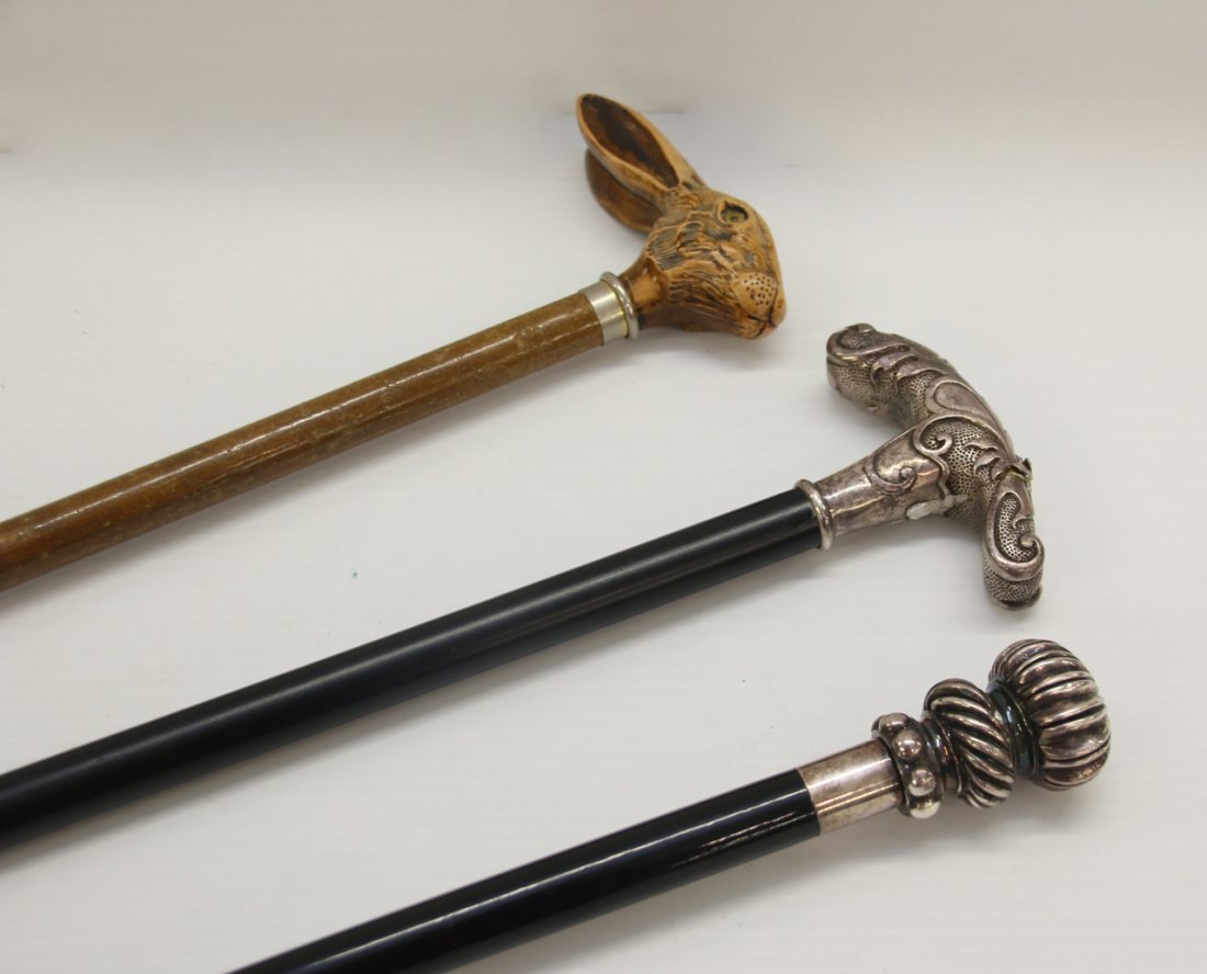 LOT OF CANES (1 of 7)