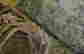item-50274901=2