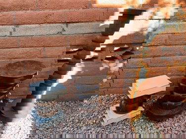 3 Pillar Plant Stands