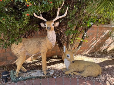 Pair of Garden Art Deer