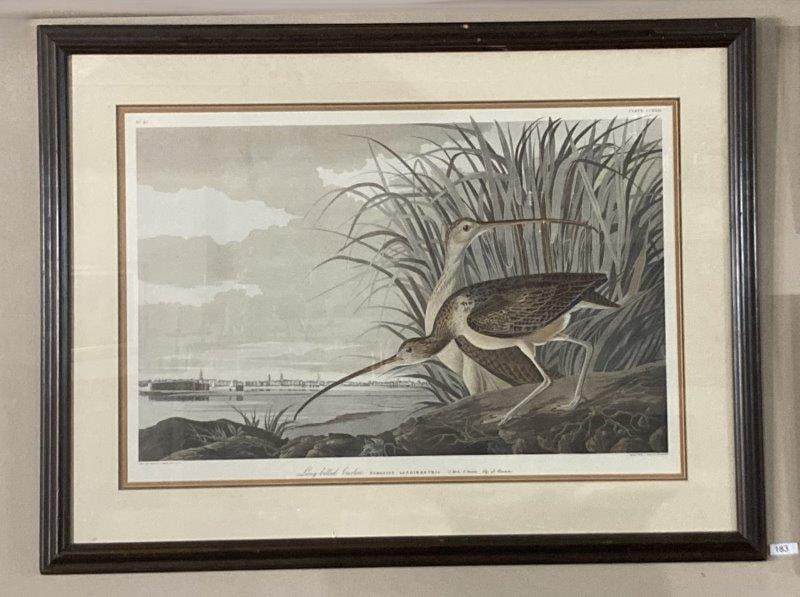 John James Audubon Long Billed Curlew Hand Colored Lithograph (1 of 9)