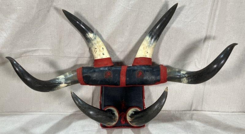 Mounted Horns Hat Rack (1 of 12)