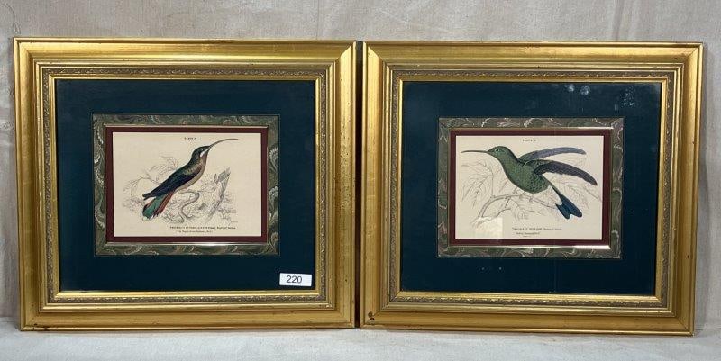 Pair of Hummingbird Engravings By William Jardine (1 of 14)