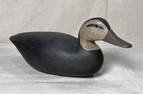 New Jersey Black Duck Decoy