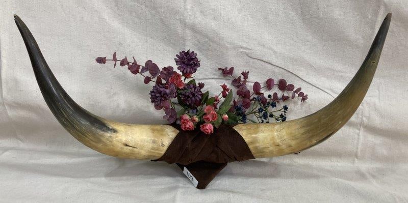 Mounted Steer Horns (1 of 9)